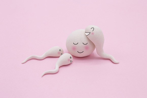 Inseminação artificial x Fertilização in vitro: qual a diferença?